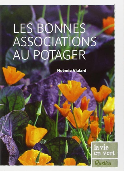 Les bonnes associations au potager