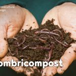 Un lombricomposteur permet de faire du compost simplement, c’est un super composteur d’appartement très efficace avec de nombreux avantages.
