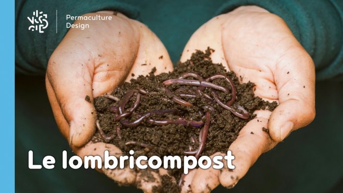 Un lombricomposteur permet de faire du compost simplement, c’est un super composteur d’appartement très efficace avec de nombreux avantages.