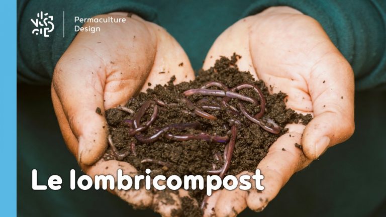 Un lombricomposteur permet de faire du compost simplement, c’est un super composteur d’appartement très efficace avec de nombreux avantages.