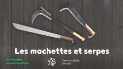 Descriptions, utilisations et conseils sur les machettes et serpes pour trouver les bon outils qui conviendront à votre besoin spécifique et vous faciliteront la tâche au jardin en permaculture !