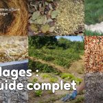 Quand on parle de paillage au jardin ou encore de paillis ou de mulch, difficile d’y voir clair. Pour vous aider voici un guide complet sur les paillages au jardin pour bien les choisir !