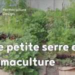 Aménagement d'une serre selon les principes de permaculture.
