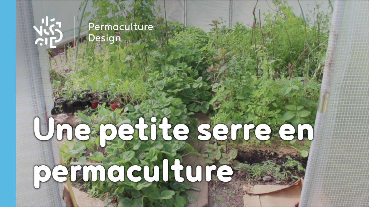 Une petite serre aménagée selon les principes de permaculture