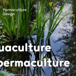 Aquaculture et permaculture font très bon ménage