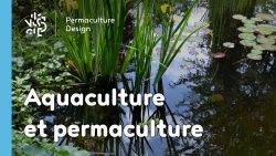 Aquaculture et permaculture font très bon ménage