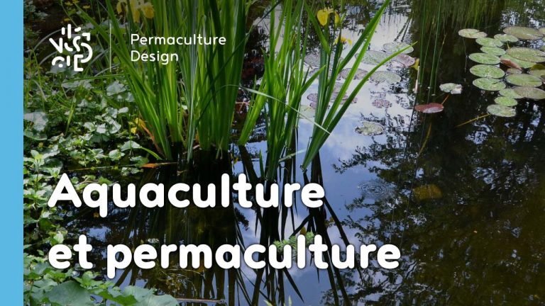 Aquaculture et permaculture font très bon ménage