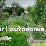 Idées et conseils pour développer la permaculture urbaine et ainsi augmenter la résilience et l’autonomie alimentaire et énergétique en ville.