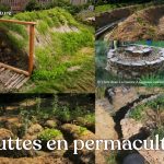Les buttes de permaculture sont des supports de cultures efficaces pour produire fruits et légumes quand elles sont bien adaptées à vos contextes et objectifs !