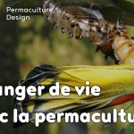 Le design de permaculture peut vous aider à changer de vie et vous épanouir