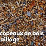 Découvrez comment utiliser copeaux et broyats de bois en paillage, ainsi que leurs avantages et inconvénients pour votre jardin en permaculture.