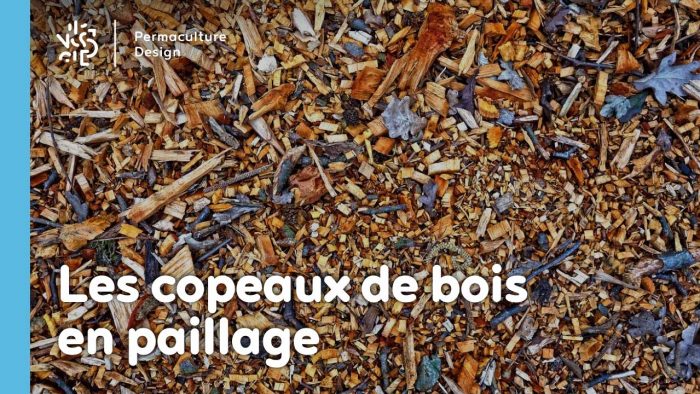 Découvrez comment utiliser copeaux et broyats de bois en paillage, ainsi que leurs avantages et inconvénients pour votre jardin en permaculture.