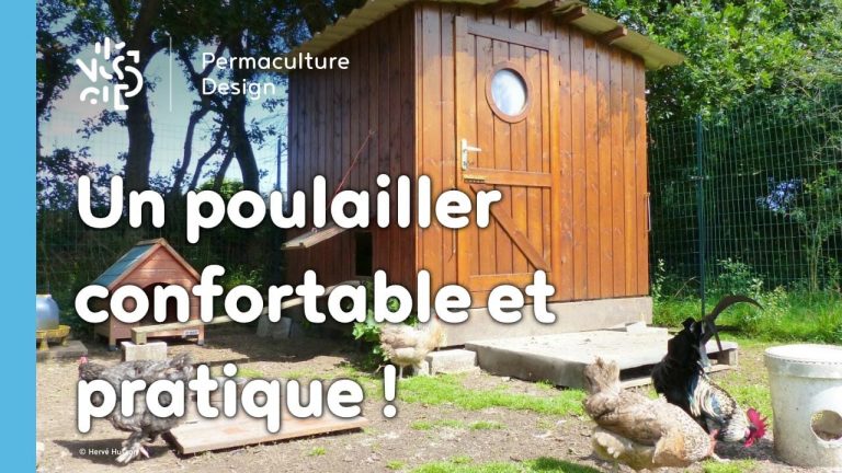 Hervé Husson nous conseille pour créer un poulailler confortable et pratique pour les poules comme pour les éleveurs.
