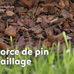 L’écorce de bois et plus particulièrement l’écorce de pin est un paillage très répandu pouvant avoir son utilité au jardin en permaculture.