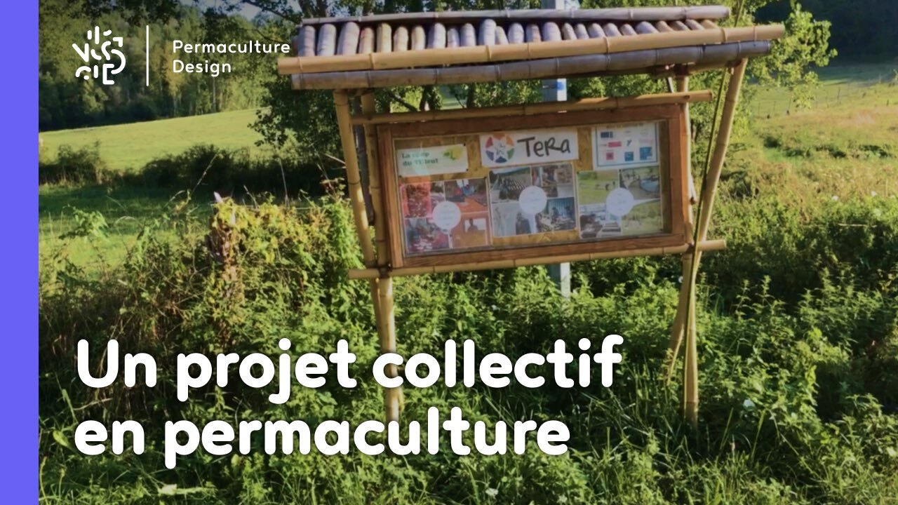Ecovillage : un village autonome où vivre en communauté