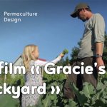 Le film sur Ridgedale Permaculture en Suède nous plonge dans le quotidien de celles et ceux qui font de cette ferme un lieu innovant et régénérateur.