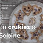 Une recette de cookies crus faciles à réaliser pour des pauses gourmandes saines et équilibrées.