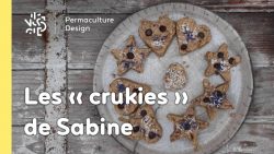 Une recette de cookies crus faciles à réaliser pour des pauses gourmandes saines et équilibrées.