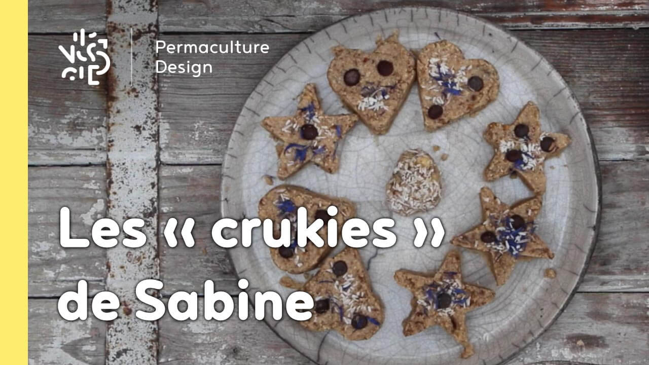 Les « crukies » : une recette de cookies crus gourmands, sains et équilibrés