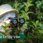 Planter une haie de jardin qui soit aussi une haie brise vue vous abritant des regards indiscrets peut se faire selon les principes de permaculture afin de créer une haie végétale brise vue efficace et biodiversifiée.
