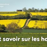 En permaculture, la haie qu’elle soit vive, champêtre, bocagère ou autre est considérée comme un écosystème à part entière nécessaire à la biodiversité.