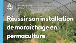 Réussir son installation de maraîchage en permaculture est avant tout une affaire de design pour éviter les erreurs.