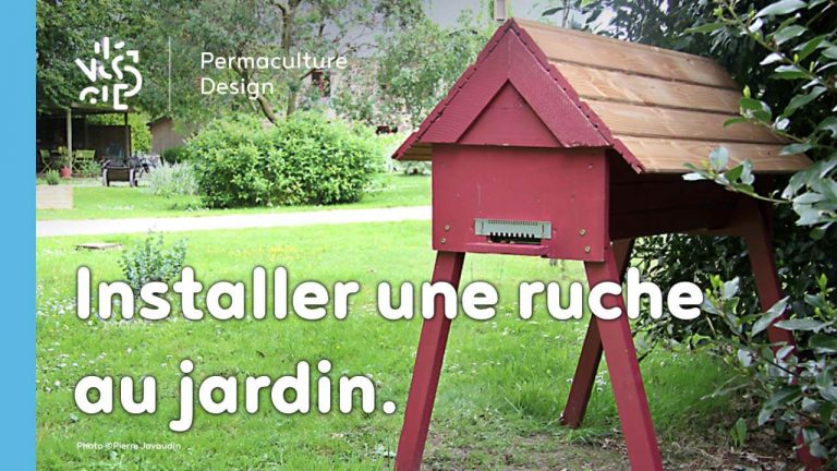 Installer une ruche dans son jardin permet de sauvegarder les abeilles et produire du miel.