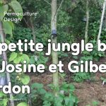 Le jardin-forêt en permaculture des fraternités ouvrières de Mouscron en Belgique produit des fruits et légumes en abondance toute l’année.