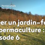 Point sur la troisième année d’évolution du jardin-forêt comestible en permaculture créé dans le cadre du projet collectif TERA.