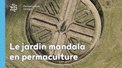 Un jardin mandala en permaculture requiert un agencement spécifique avec des buttes et divers supports de cultures pour créer un espace beau, harmonieux et inspirant riche en biodiversité.