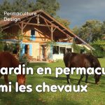 Mathilde réalise un jardin en permaculture parmi les chevaux dans le cadre de son changement de vie grâce à la méthodologie de design.