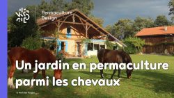 Mathilde réalise un jardin en permaculture parmi les chevaux dans le cadre de son changement de vie grâce à la méthodologie de design.
