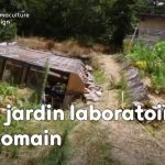 Romain observe et expérimente la permaculture dans son jardin: potager, buttes, terrasses, mares, arbres fruitiers, poules, serre souterraine, tout est réuni pour avoir de belles récoltes.