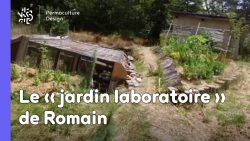 Romain observe et expérimente la permaculture dans son jardin: potager, buttes, terrasses, mares, arbres fruitiers, poules, serre souterraine, tout est réuni pour avoir de belles récoltes.