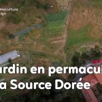 Un écolieu remarquable avec un jardin en permaculture où le maraîchage sert directement à fournir le restaurant de la maison d’hôtes.