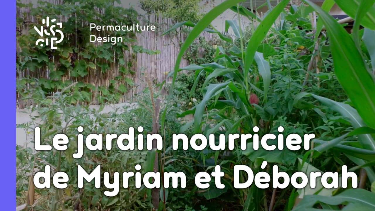 Un parking transformé en jardin nourricier : le design en permaculture de Myriam et Déborah