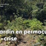Vidéo sur l’aménagement d’un jardin en permaculture, un jardin à la fois anti-crise, partage et santé !