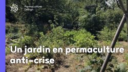Vidéo sur l’aménagement d’un jardin en permaculture, un jardin à la fois anti-crise, partage et santé !
