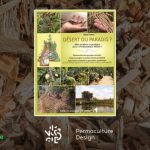 Image du livre Désert ou paradis ? : Mise en place et pratique de la « Permaculture Holzer » écrit par Sepp Holzer aux Éditions Imagine Un colibri.
