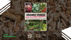 Le livre de Xavier Mathias intitulé « Légumes vivaces pour un potager perpétuel » donne les clés pour créer un jardin nourricier productif presque toute l’année ne nécessitant que très peu de temps et d’entretien, l’idéal en permaculture.