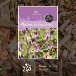 Image du livre Plantes grimpantes : écrit par Horticolor aux Éditions Horticolor.
