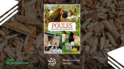 Livre Poules, guide complet de l&rsquo;éleveur amateur