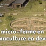 Découvrez le projet de micro ferme en permaculture de Sophie et Yoann, microferme vivrière où l’éducation des enfants au fonctionnement de la nature joue un rôle central.