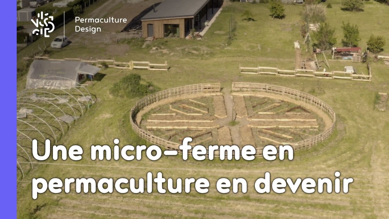 Une micro ferme en permaculture en devenir