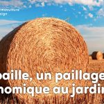La paille en botte ou en ballot constitue une base intéressante pour réaliser un paillage économique au jardin en permaculture !