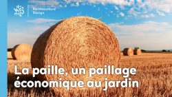 La paille en botte ou en ballot constitue une base intéressante pour réaliser un paillage économique au jardin en permaculture !