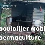 Exemple de poulailler mobile en permaculture permettant de profiter de l’instinct naturel des poules à gratter le sol et le fertiliser avant culture.