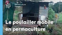 Exemple de poulailler mobile en permaculture permettant de profiter de l’instinct naturel des poules à gratter le sol et le fertiliser avant culture.