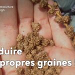 produire-graines-semences-permaculture-design_01