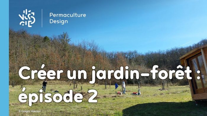 Suivi de la création d’un jardin forêt comestible en permaculture.